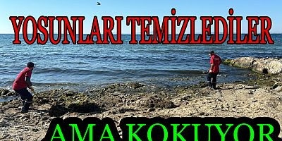 SAHİL TEMİZLENİYOR AMA KOKUYOR