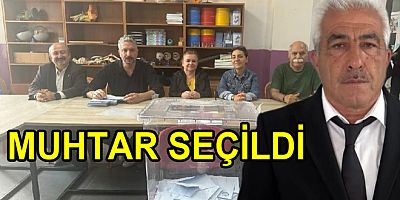 #yalova #samanlı #muhtar #seçim