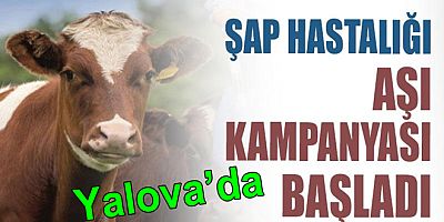 ŞAP AŞILAMA KAMPANYASI BAŞLADI