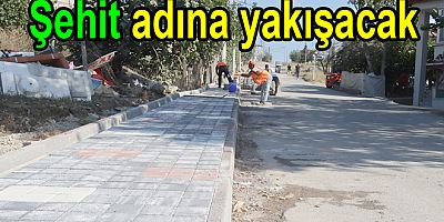 ŞEHİTE YARAŞIR SOKAK YAPILIYOR
