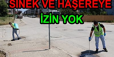 SİNEK VE HAŞERE MÜCADELESİ DEVAM EDİYOR
