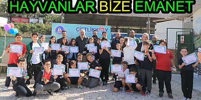 SOKAK HAYVANLARI BİZE EMANET