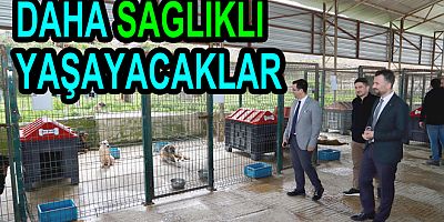 SOKAK HAYVANLARI DAHA İYİ YAŞAYACAK