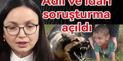 SOKAK HAYVANLARI İÇİN ADIM ATILACAK
