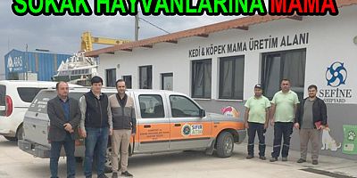 Sokak hayvanları için örnek tesis