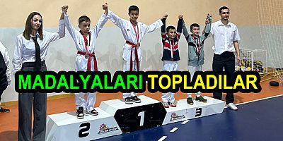 TAEKWONDOCULAR MADALYALARI TOPLADI