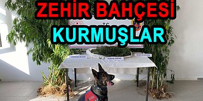TERMAL’DE ZEHİR BAHÇESİ KURMUŞLAR