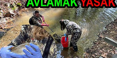 TEŞVİKİYE KEFALİNİ AVLAMAK YASAK