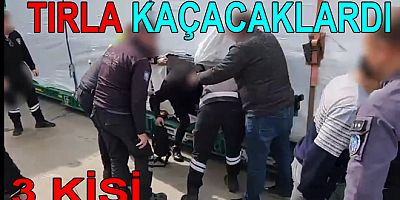 TIRLA KAÇACAKLARDI YAKALANDILAR