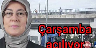 TONAMİ KÖPRÜSÜ ÇARŞAMBA GÜNÜ TRAFİĞE AÇILIYOR