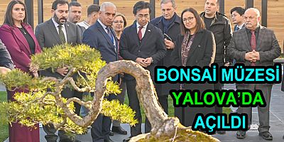 TÜRKİYE’NİN İLK BONSAİ MÜZESİ YALOVA’DA AÇILDI