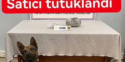 UYUŞTURUCU SATICISI YALOVA’DA TUTUKLANDI