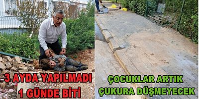 VATANDAŞ PAYLAŞTI YALOVA BELEDİYE EKİPLERİ HAREKETE GEÇTİ
