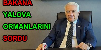 VEKİL BECAN YALOVA ORMANLARINI SORDU