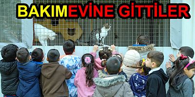 VETERİNERLİKTE HAYVAN SEVGİSİ AŞILANIYOR