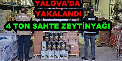 YALOVA 4 TON SAHTE ZEYTİNYAĞI BULUNDU
