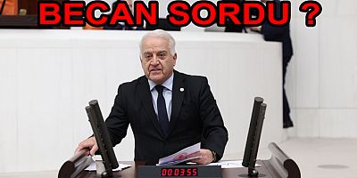 YALOVA ARAP KENTİ OLDU