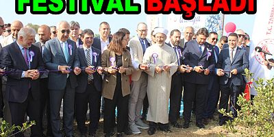 YALOVA ARONYA FESTİVALİ  BAŞLADI