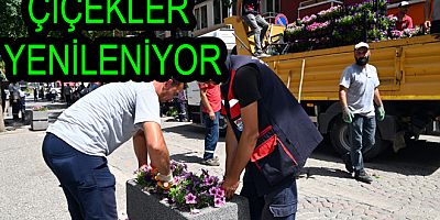 YALOVA BELEDİYESİ BAYRAMA HAZIRLANIYOR