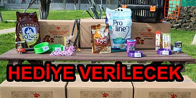 YALOVA BELEDİYESİNDEN HAYVAN SAHİPLENENLERE HEDİYE