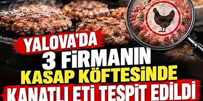 YALOVA’DA 3 FİRMANIN KASAP KÖFTESİNDE KANATLI ETİ TESPİT EDİLDİ