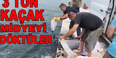 YALOVA’DA 3 TON KAÇAK MİDYE DENİZE DÖKÜLDÜ