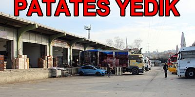 YALOVA’DA 35 BİN 208 TON SEBZE MEYVE SATILDI