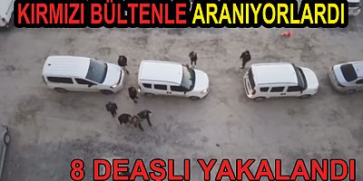 YALOVA DA 8 DEAŞ ’LI YAKALANDI