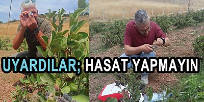 YALOVA’DA ARONYA HASADI İÇİN KRİTİK UYARI YAPILDI