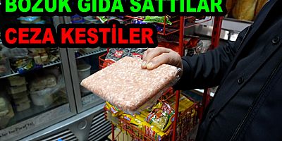 YALOVA’DA BOZULMUŞ GIDA SATANLAR CEZA ALDI