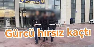 YALOVA’DA CEZA ALAN GÜRCİSTAN VATANDAŞI ÜLKEYİ TERK ETTİ