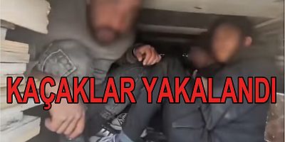 YALOVA'DA DÜZENSİZ GÖÇMENLER YAKALANDI