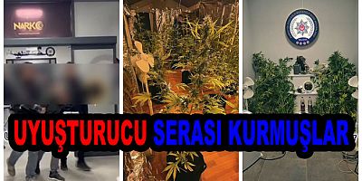 YALOVA’DA EVDEN KENEVİR SERASI ÇIKTI