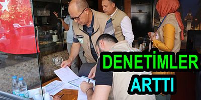 YALOVA DA GIDA DENETİMLERİ HIZLANDI