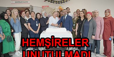 YALOVA'DA HEMŞİRELER GÜNÜ KUTLANDI