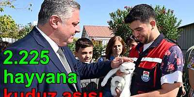YALOVA’DA İKİBİNDEN FAZLA KUDUZ AŞISI YAPILDI