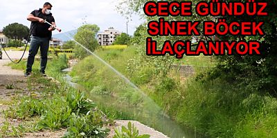 YALOVA’DA İLAÇLAMA GECE GÜNDÜZ DEVAM EDİYOR