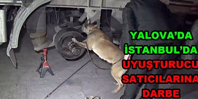 YALOVA'DA İSTANBUL’DA UYUŞTURUCU OPERASYONU