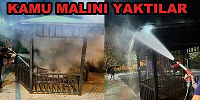YALOVA'DA KAMU MALINI YAKTILAR