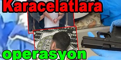 YALOVA'DA 'KARACELLATLAR' SUÇ ÖRGÜTÜNE OPERASYON!