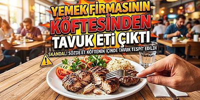 YALOVA’DA KÖFTEDE KANATLI ETİ ÇIKTI