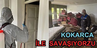 YALOVA’DA KOKARCAYA RAHAT YOK