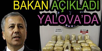 YALOVA DA NARKOGÜÇ OPERASYON YAPTI