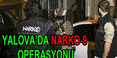 YALOVA'DA NARKOKAPAN-9 OPERASYONU YAPILDI