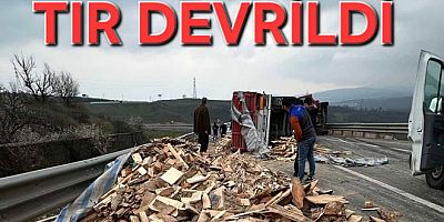 YALOVA’DA ODUN YÜKLÜ TIR DEVRİLDİ TRAFİK FELÇ OLDU