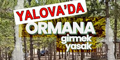 YALOVA’DA ORMANLARA GİRİŞ VE ATEŞ YAKMAK YASAKLANDI