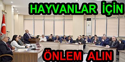 YALOVA’DA SOKAK HAYVANLARI İÇİN TALİMATLAR VERİLDİ