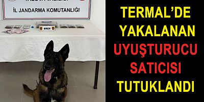 YALOVA'DA UYUŞTURUCU SATICISI TUTUKLANDI