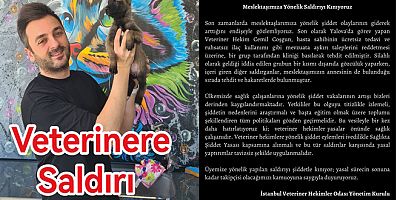YALOVA’DA VETERİNER HEKİME SALDIRI