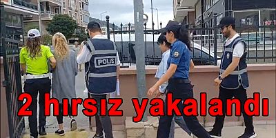 YALOVA’DA YAZLIKÇI KILIĞINDA MİLYONLUK HIRSIZLIK YAPTILAR